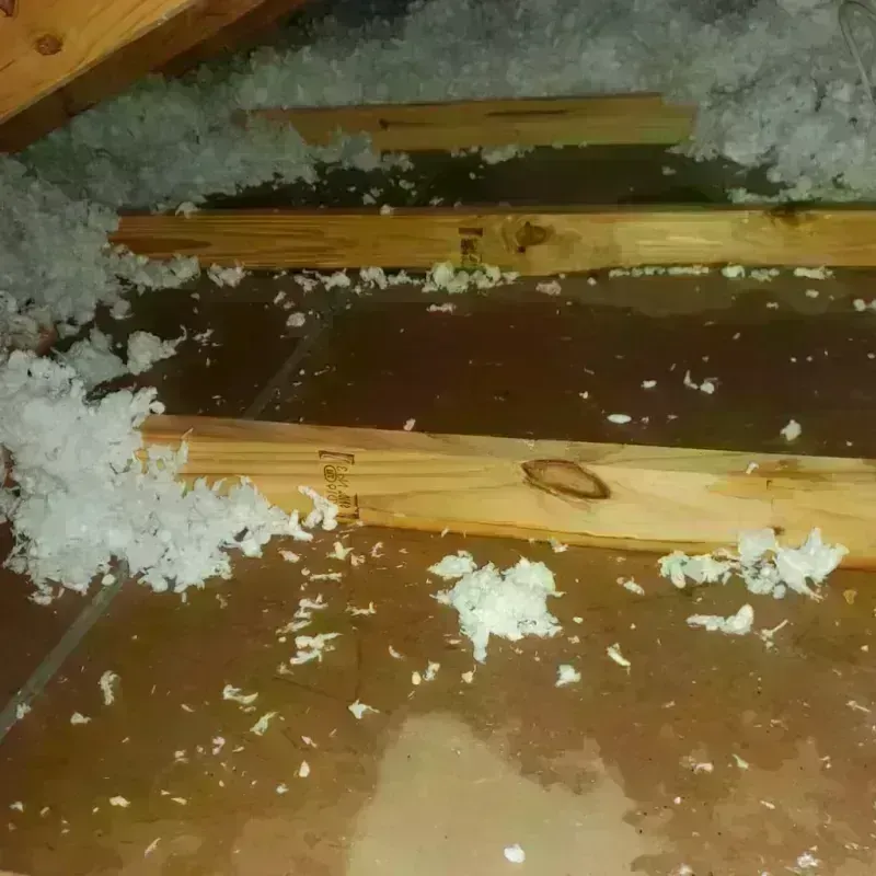 Attic Water Damage in Orleans, IN